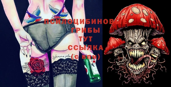 прущие грибы Себеж