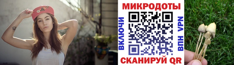 Псилоцибиновые грибы мухоморы  Бабушкин 
