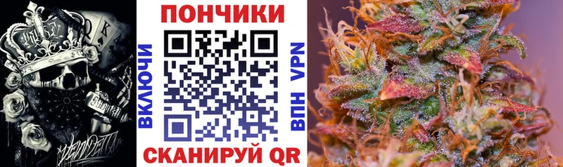 Шишки марихуана Amnesia  магазин продажи наркотиков  Бабушкин 